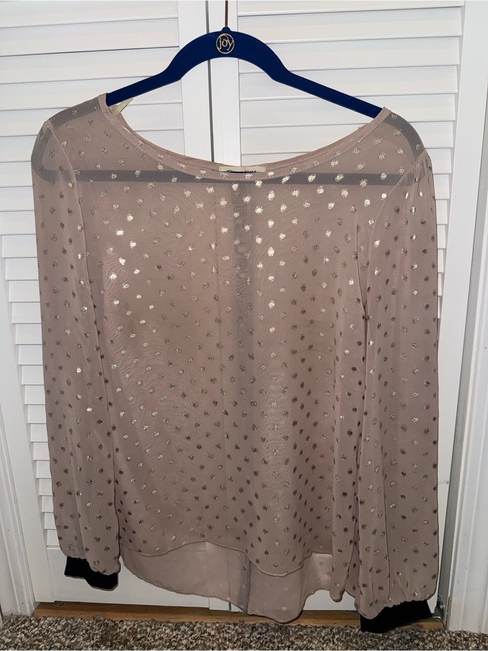 tea n rose Taupe Sheer Blouse with Metallic Dot Accent